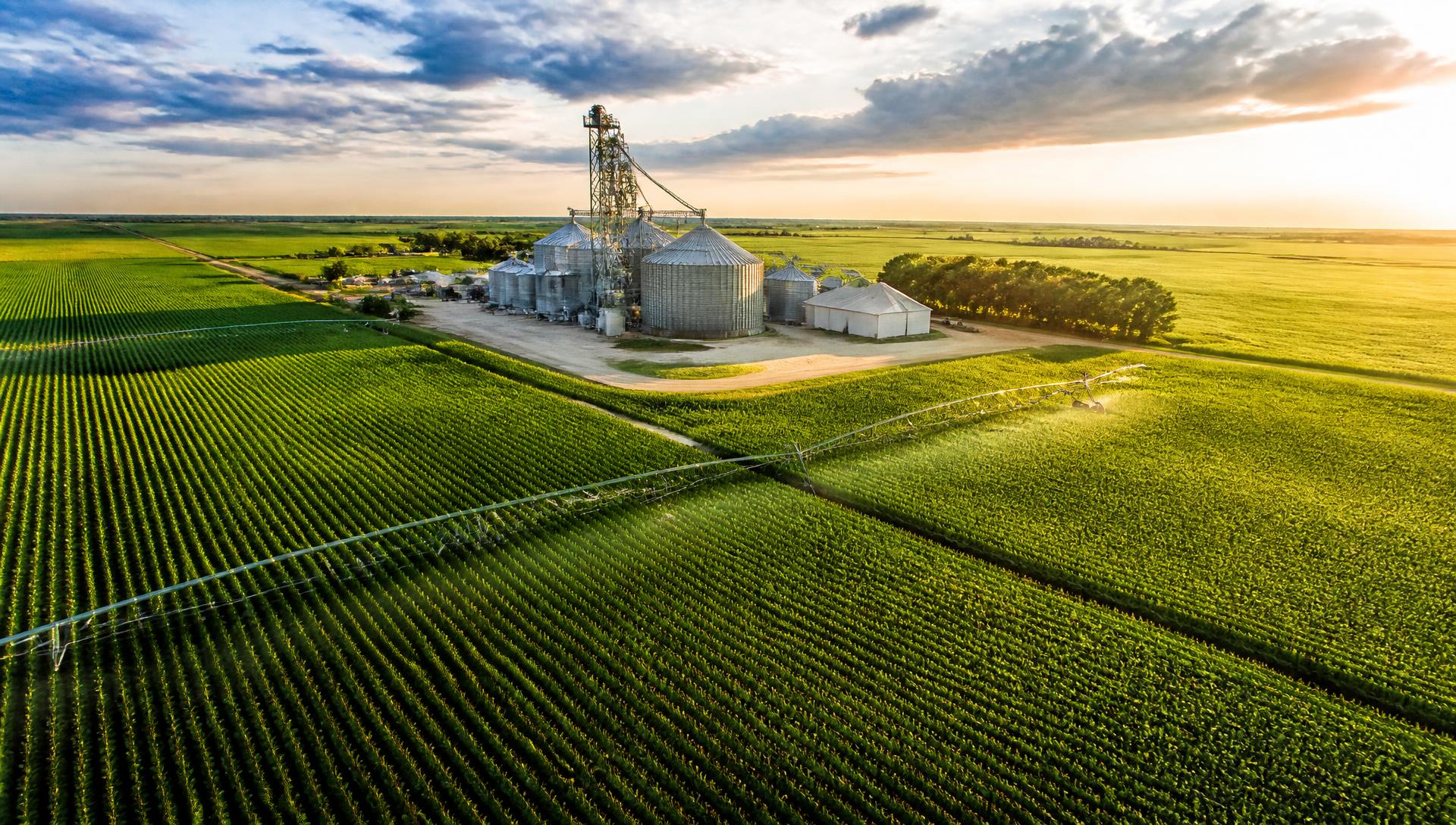 Aerial view of a massive green agriculture commodity operation with grain silos and irrigated fields